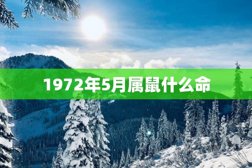 1972年5月属鼠什么命