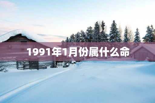 1991年1月份属什么命