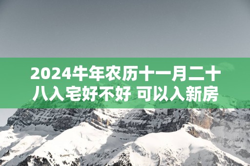 2025蛇年农历十一月二十八入宅好不好 可以入新房吗