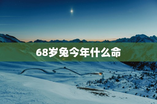 68岁兔今年什么命