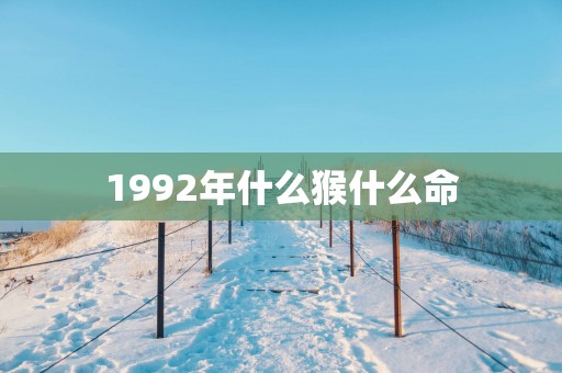 1992年什么猴什么命