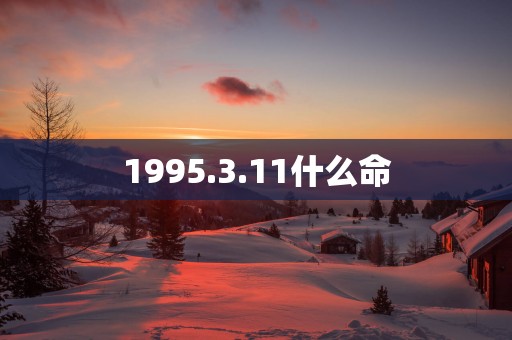 1995.3.11什么命