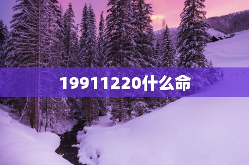 19911220什么命