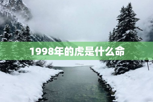 1998年的虎是什么命