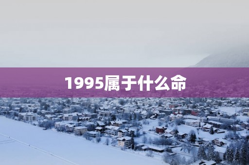 1995属于什么命