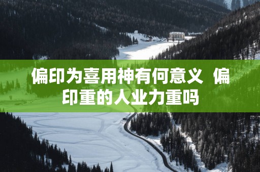偏印为喜用神有何意义  偏印重的人业力重吗