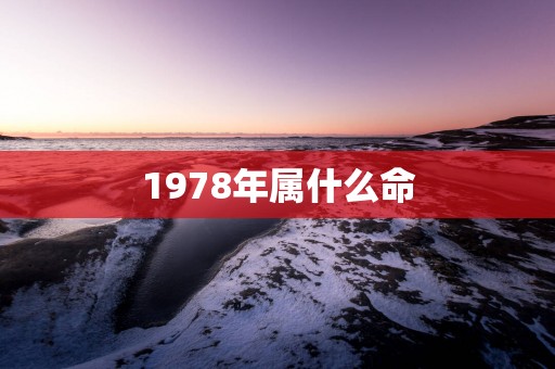 1978年属什么命