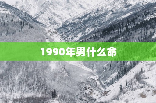 1990年男什么命