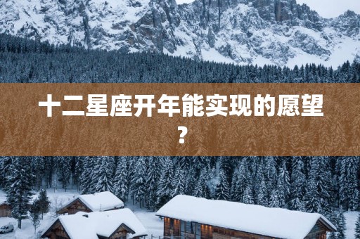 十二星座开年能实现的愿望？