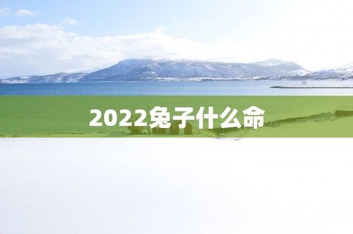 2025兔子什么命