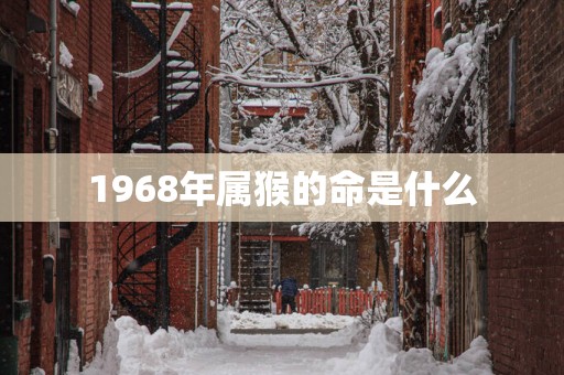 1968年属猴的命是什么