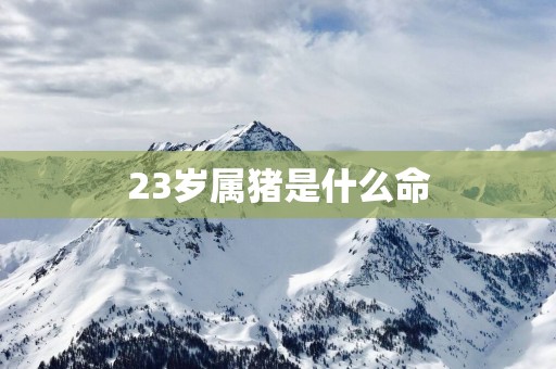 23岁属猪是什么命