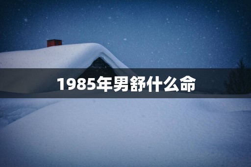 1985年男舒什么命