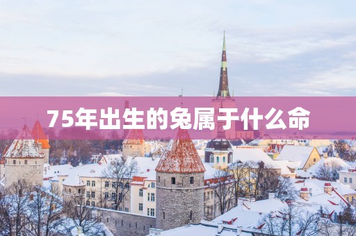 75年出生的兔属于什么命