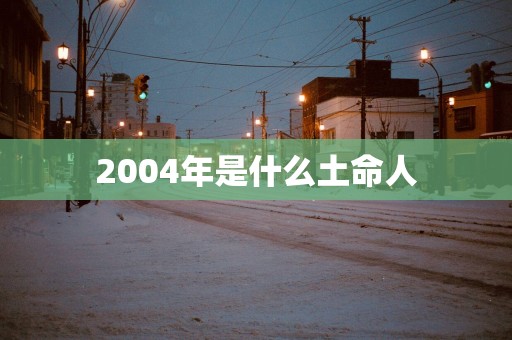 2004年是什么土命人