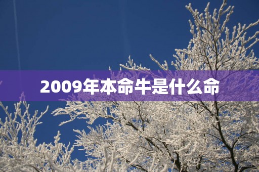 2009年本命牛是什么命
