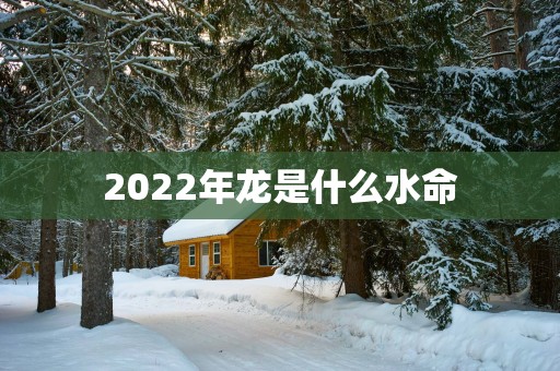 2025年龙是什么水命