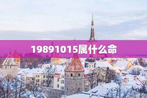 19891015属什么命