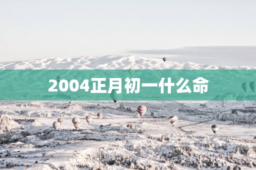 2004正月初一什么命