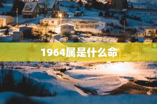 1964属是什么命