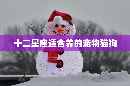 十二星座适合养的宠物猫狗