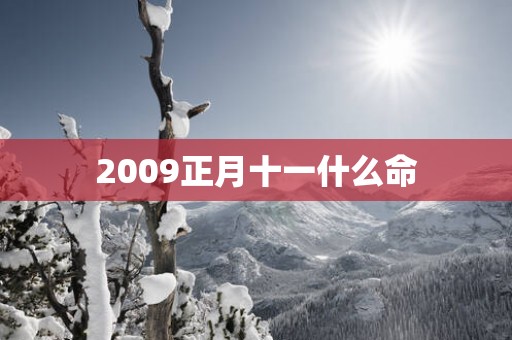 2009正月十一什么命