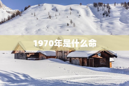 1970年是什么命