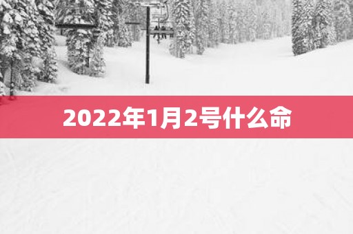 2025年1月2号什么命