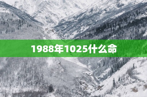1988年1025什么命