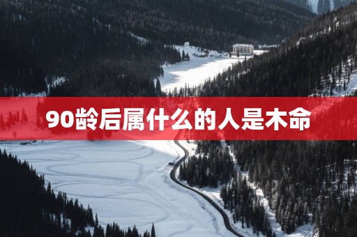 90龄后属什么的人是木命