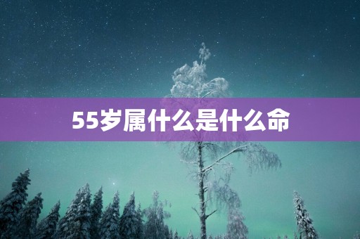 55岁属什么是什么命 55岁属什么是什么命