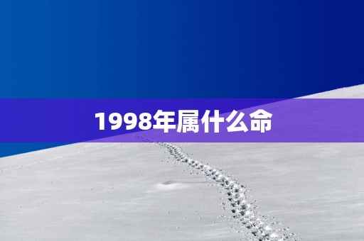 1998年属什么命