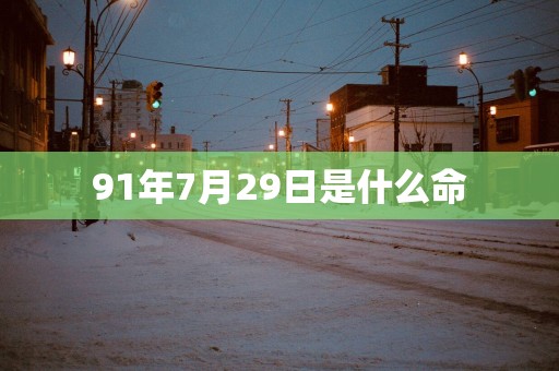 91年7月29日是什么命