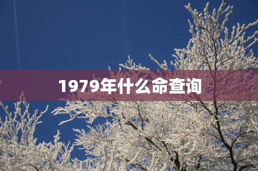 1979年什么命查询