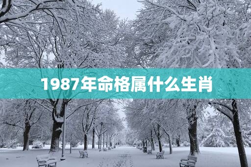 1987年命格属什么生肖