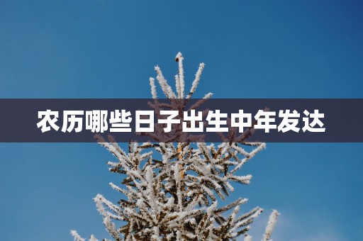 农历哪些日子出生中年发达