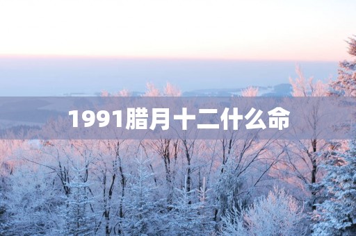 1991腊月十二什么命