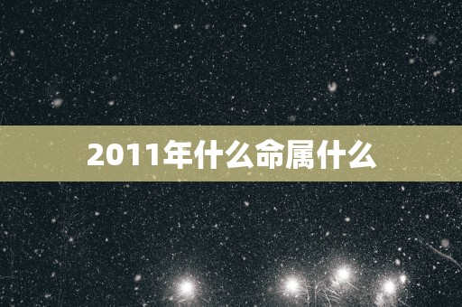 2011年什么命属什么