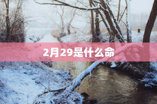 2月29是什么命
