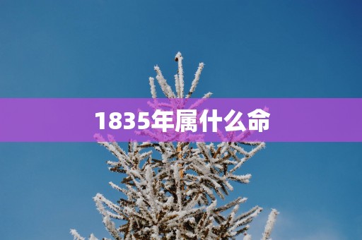 1835年属什么命