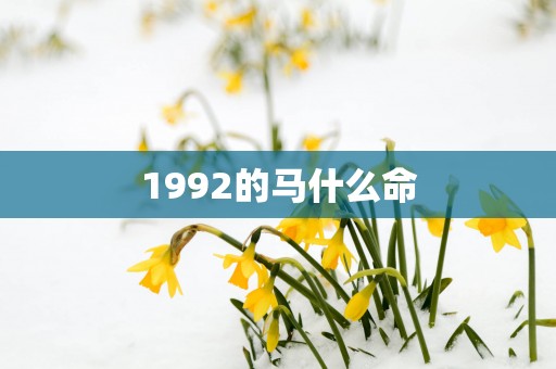 1992的马什么命