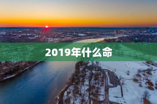 2019年什么命