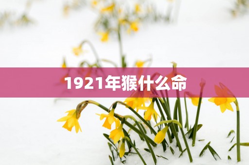 1921年猴什么命
