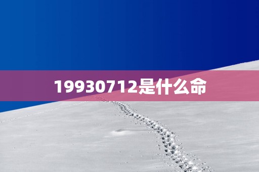 19930712是什么命
