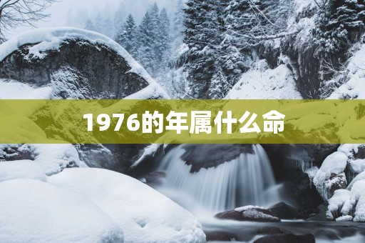 1976的年属什么命