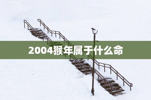 2004猴年属于什么命