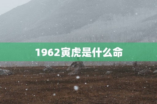 1962寅虎是什么命