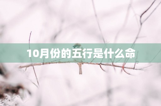 10月份的五行是什么命