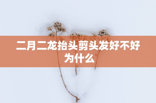 二月二龙抬头剪头发好不好 为什么