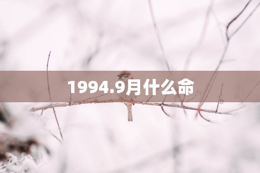 1994.9月什么命